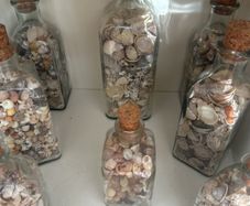 Sea shells in bottles