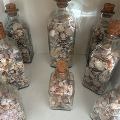 Sea shells in bottles