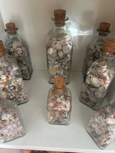 Sea shells in bottles