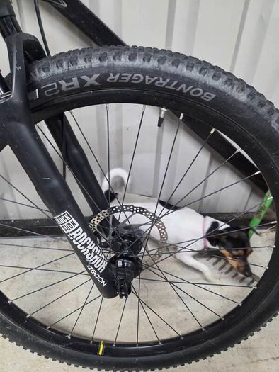trek top fuel