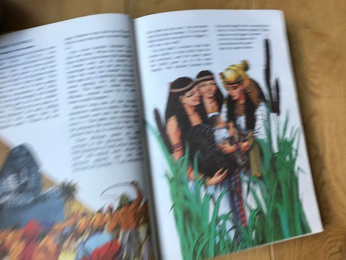 The Ladybird Bible Story Book