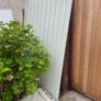 timber Image 3