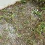 FREE hardcore / gravel stones Image 10