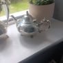 epns silver Image 2