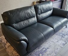 Free sofa