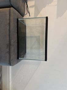19l fish tank
