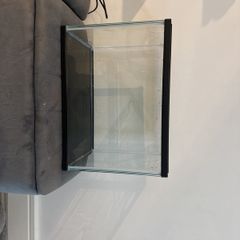 19l fish tank