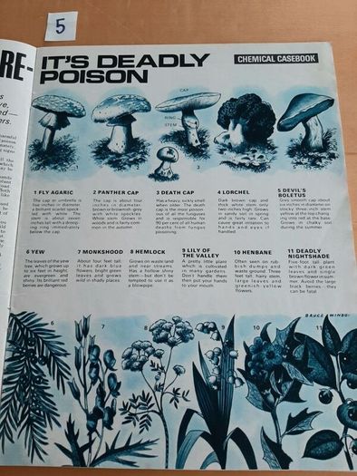 'World of Wonder' 1970s issues