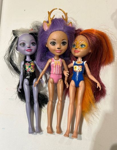 Enchantimals 3 dolls: Felicity Fox, Sage Skunk, Danessa Deer