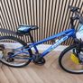 Edgar Expert bike Image 2