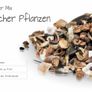 Large Pack 50g Wild Flower Mixed seeds for 50sq.m Image 2