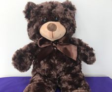 Plush Bears