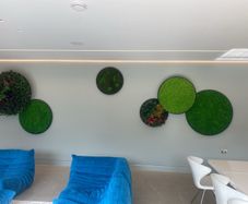Circular panels containing fully preserved natural plants/moss.