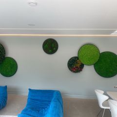 Circular panels containing fully preserved natural plants/moss.