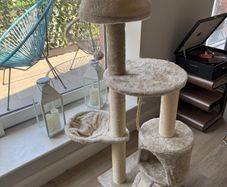 Cat Tree