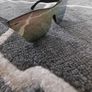 sun glasses Image 3