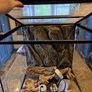 glass terrarium Image 3