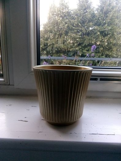 Beautiful white and gold pottery plant pot