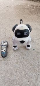 JJRC R19 Smart Robot Dog - Interactive Remote Control Toy
