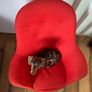 Armchair Image 4
