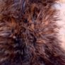 Marks and Spencer fury scarf Image 3