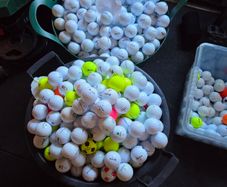 100 mixed golf balls for sale -TaylorMade, Srixon, Callaway and Seed.