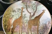 Royal Doulton Giraffe Series Commorative Plate