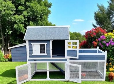 Large Chicken Coop  6-8 Birds