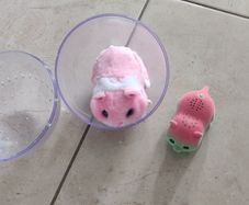Hamster toys