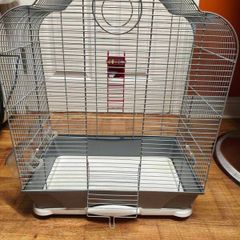 Bird cage medium