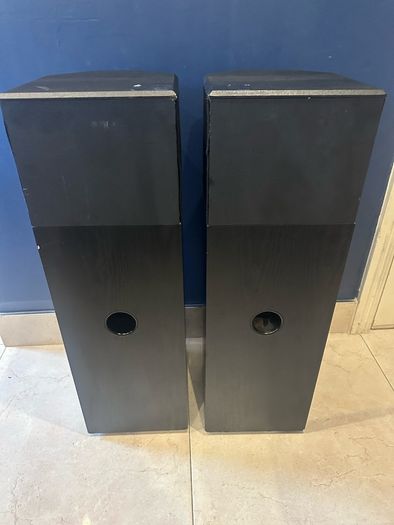 Bose 701  floor standing speakers.