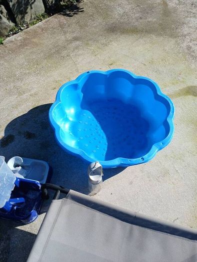 Dog raised bed and paddling pool