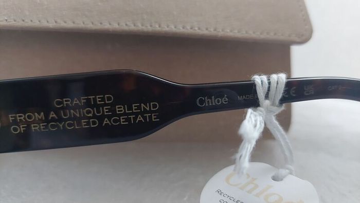 An Unrivalled Investment in High Fashion  The Chloe Gayia