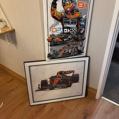 F1 Oscar Piastri Frames