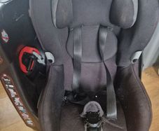 maxi cosi
