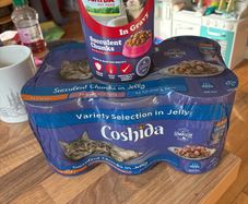 cat food - free