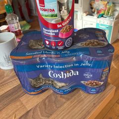 cat food - free