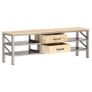 TV Cabinet 120x30x40 cm Solid Mango Wood Image 2