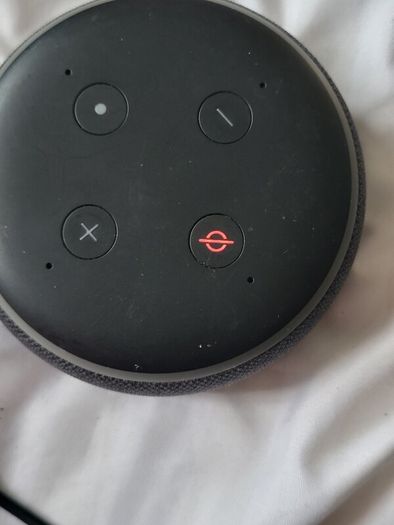 Amazon Echo Dot
