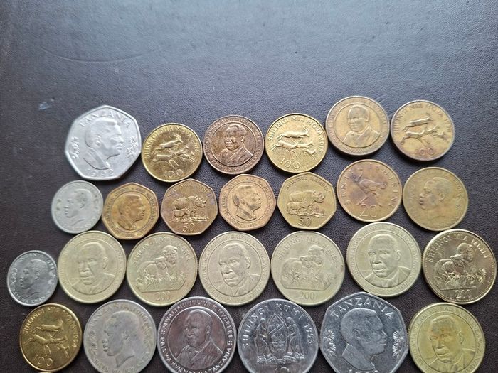 A Lot of 265 grams coins from Tanzania (1966-2019)