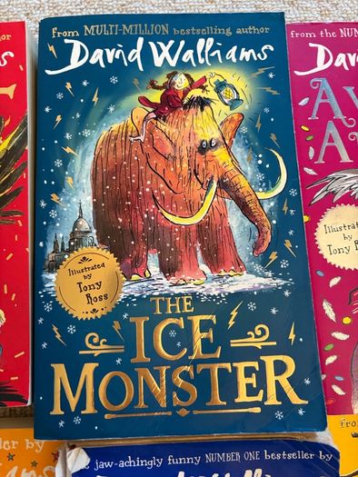 Various David Walliams Books