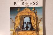 Nothing Like The Sun by Anthony Burgess