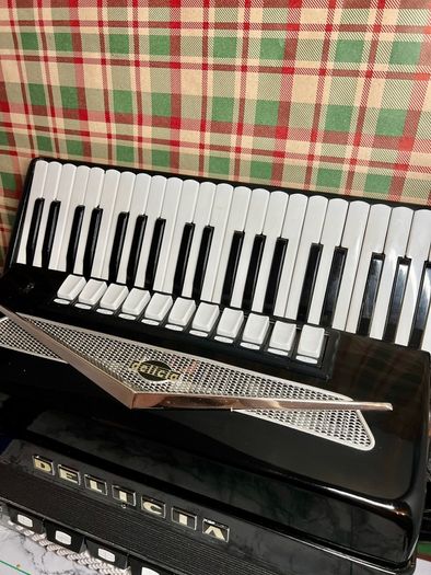 piano accordion Delicia Cassotto 2+2 LMMH