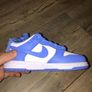 NEW University blue dunks low (ps) size uk10 and 11 kids Image 3