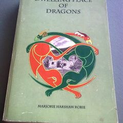 Dwelling place of dragons Irish history