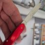 Vintage Discontinued Elinox Secretary Alox 84mm Swiss Army Knife Image 6