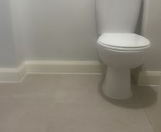 toilet pan and seat