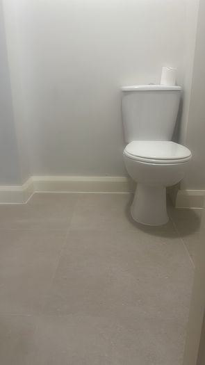 toilet pan and seat
