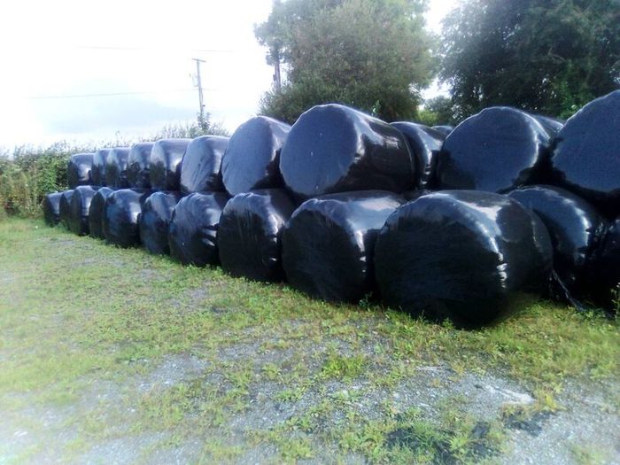 Bales silage100