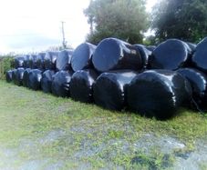 Bales silage100